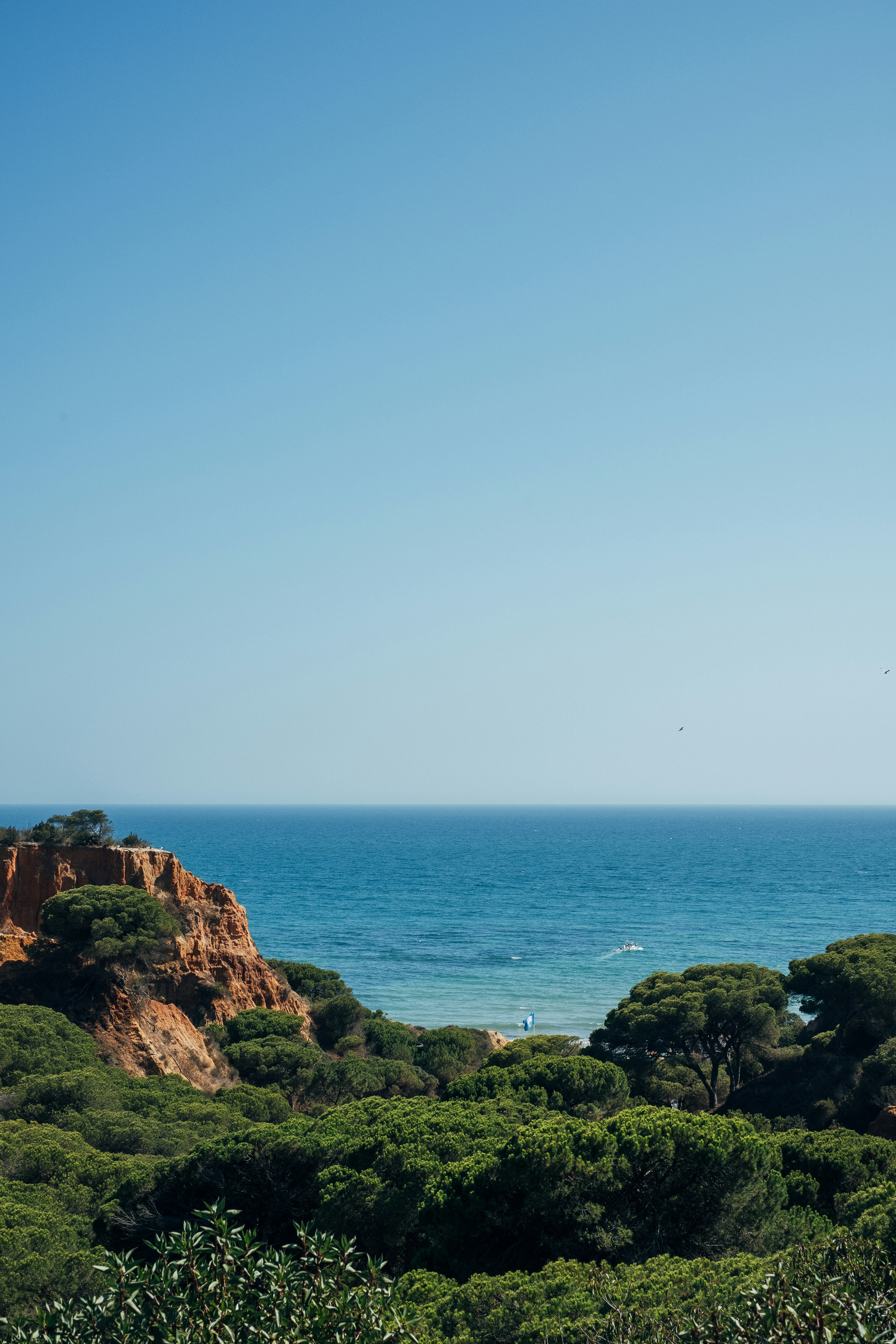 ocean during daytime